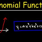 unit 5 polynomial functions homework 2 answer key